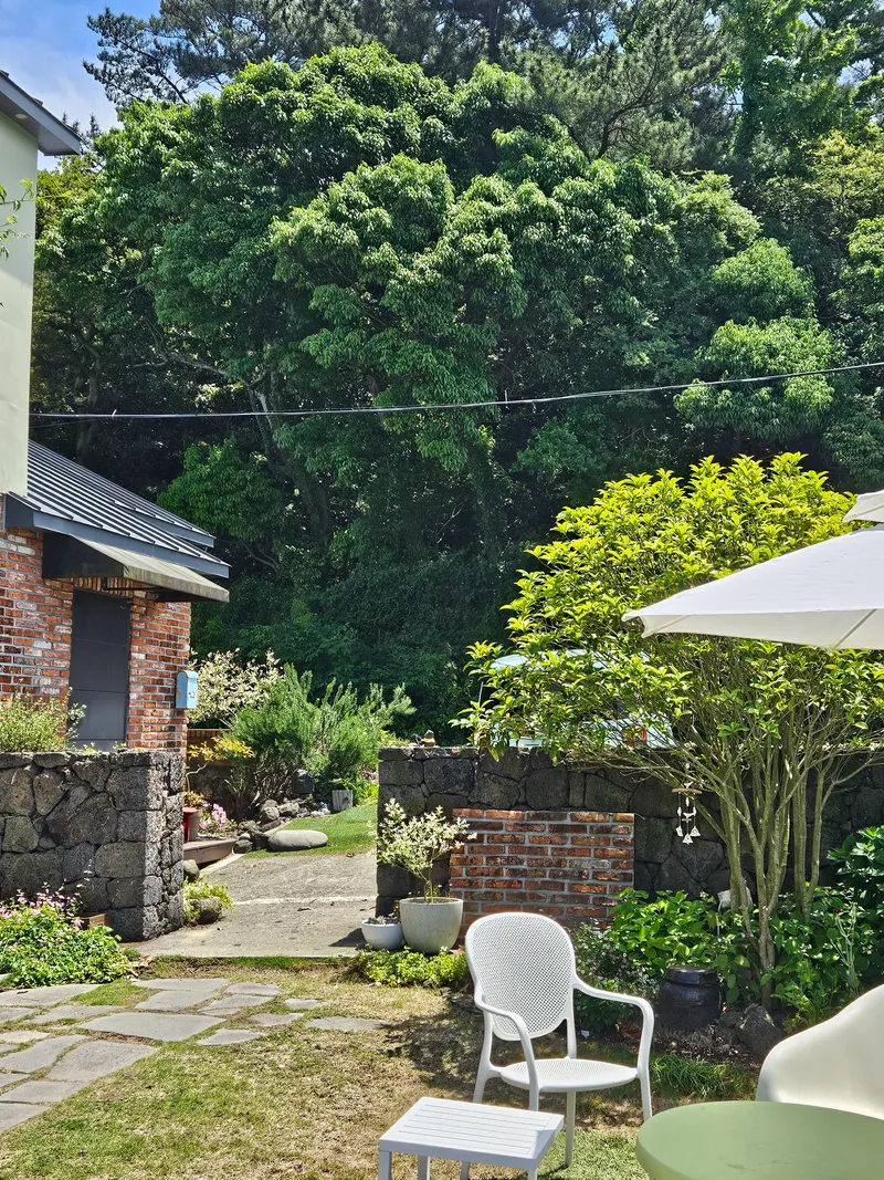 [Aewol, Jeju] A 1-minute walk! Gotjawal Forest is right in front. 22