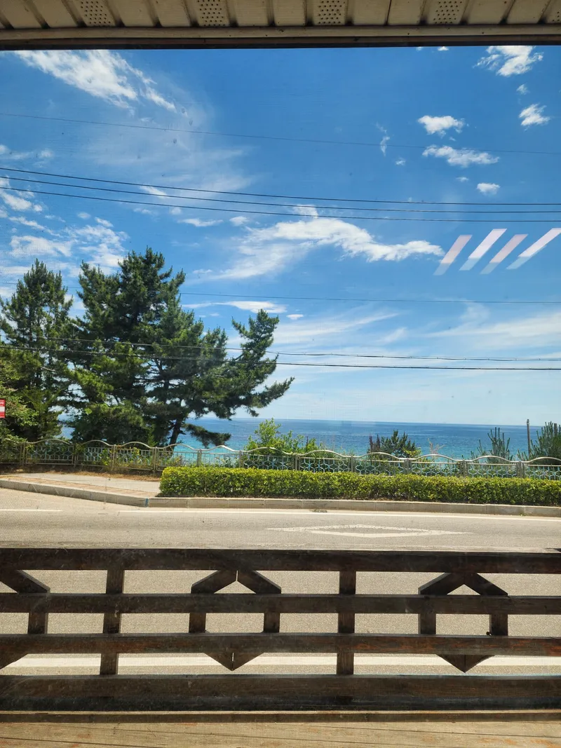 [Gangneung] A detached one-room apartment right in front of the beach #Right next to Gyeongpodae #Rapeseed flowers 15