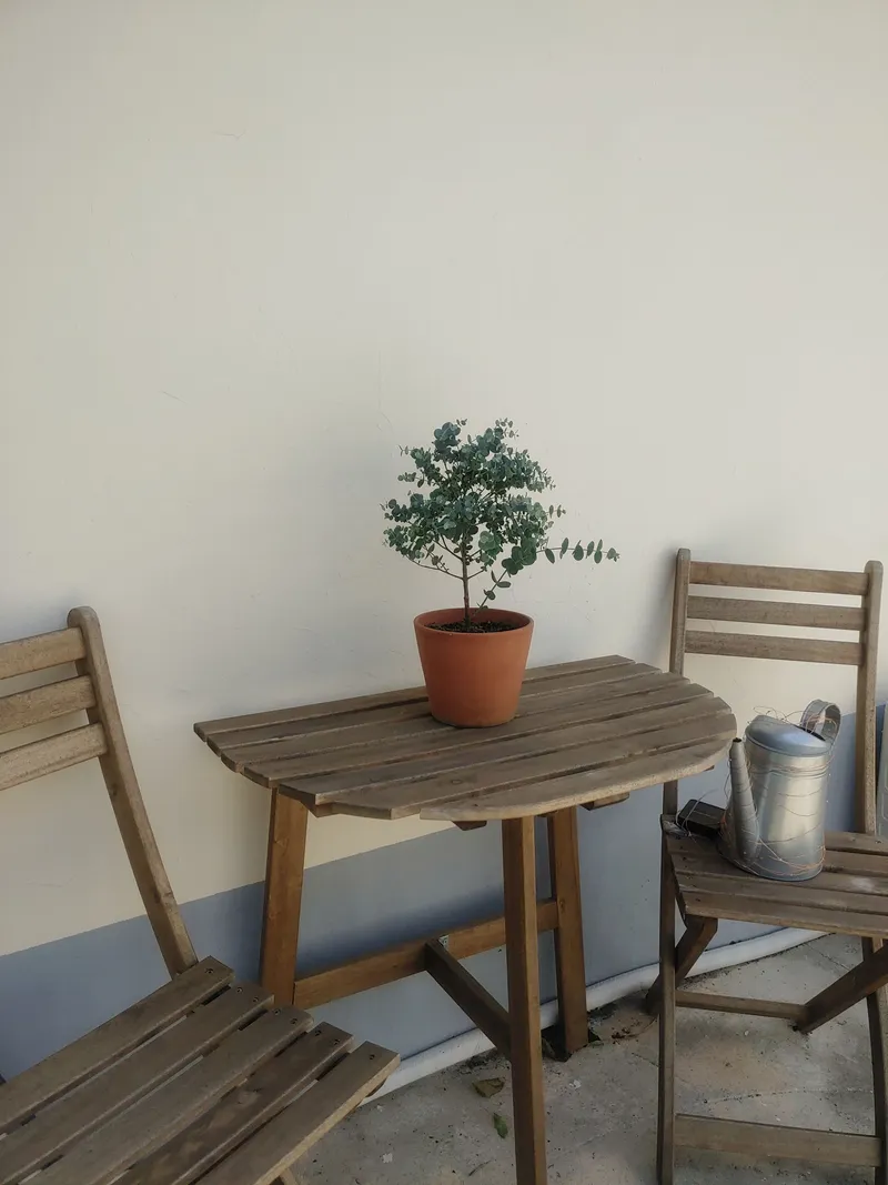 [Yeosu] A quiet, detached house in the middle of Odongdo, a romantic pocha in Odongdo. 15