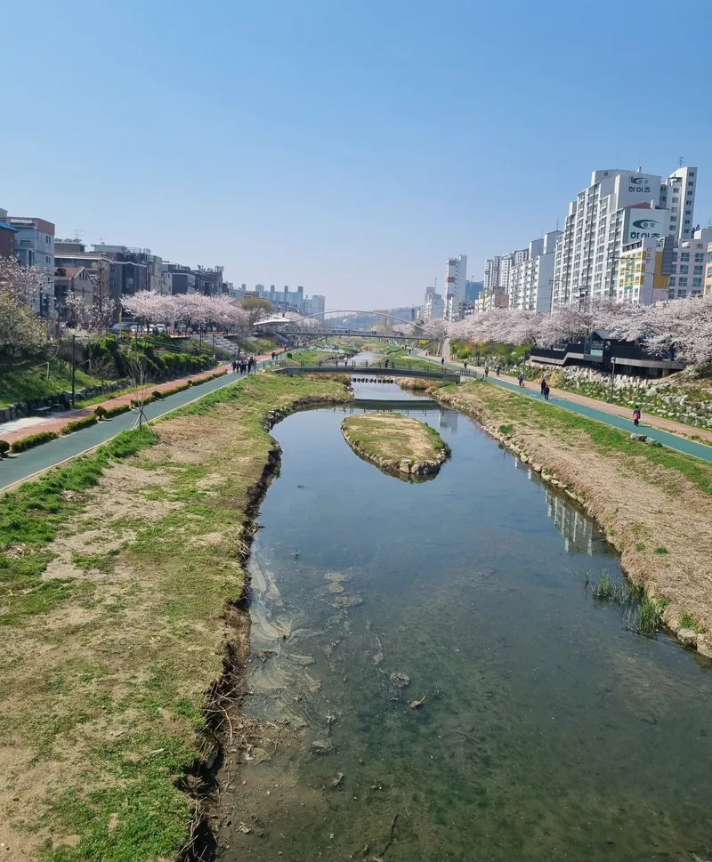 [서울 서대문] 증산역 도보3분 쓰리룸 8