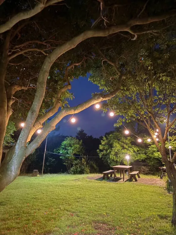 [Hallim, Jeju] 5-minute walk to Hyeopjae Beach, private house, dog-friendly, lawn yard, 50