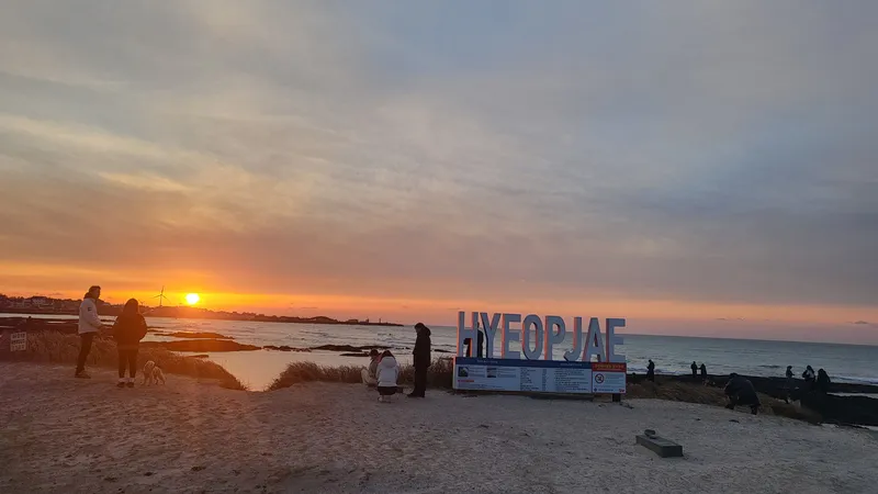 [제주 한림] 편안한쉼터 제주서쪽 힐링하기 좋은집 숲세권 협재해변차로5분 59