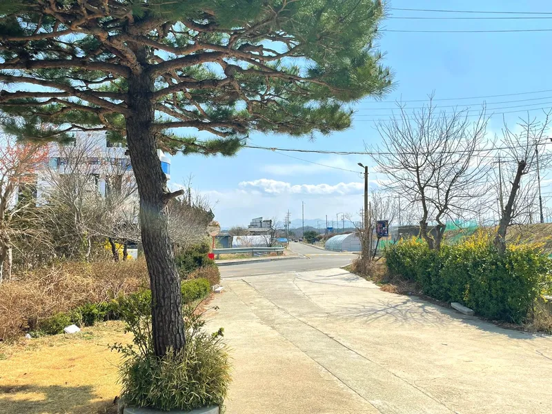 [강원 강릉] 사천해변  #해변 #바다 #가족 #농어촌민박 6