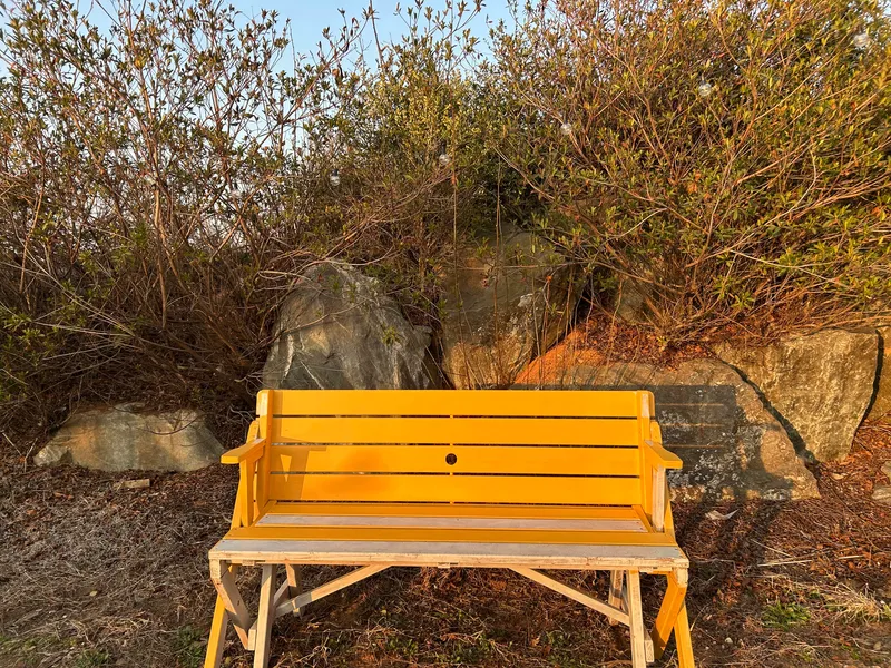 [Dangjin] Dangjin, South Chungcheong Province) Morning on the terrace/Villa in a country house/Room 5/1 hour from Seoul/12 minutes from the sea 46