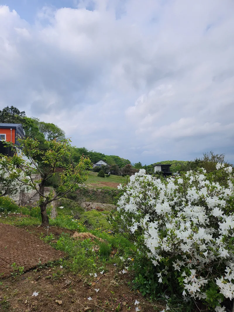 [Yongin] Everland 9 minutes group accommodation, independent duplex, cost-effective, 2-story detached house 44