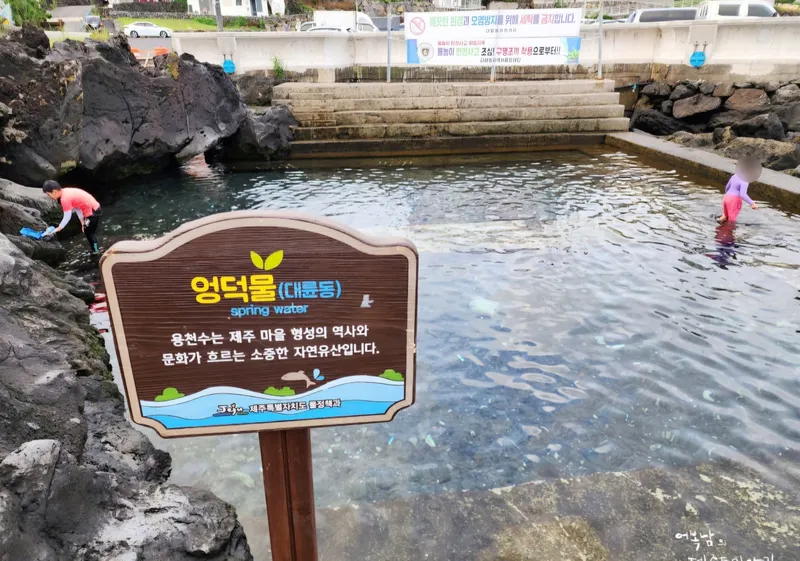 [서귀포 법환동] *폭싹 속았수다* 법환포구 바로 앞 넓은 투룸 37