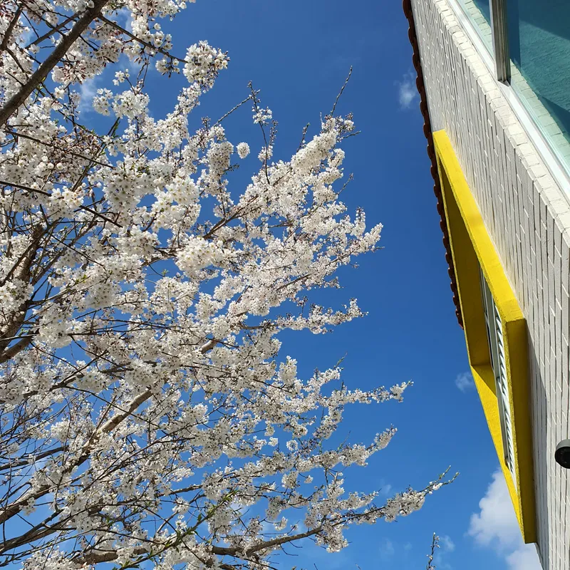 [Aewol, Jeju] My hideout accommodation that provides a comfortable rest in a travel destination 34