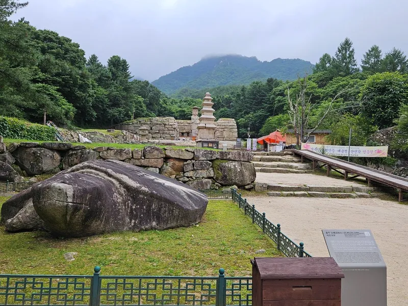 [충북 충주] 포레스트월악 205호 19