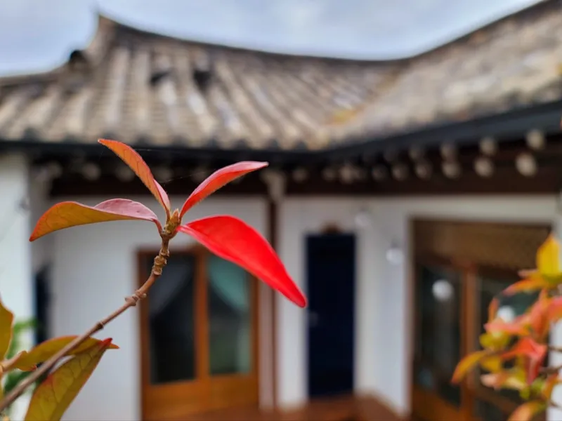 [Gyeongju][Gyeongju, Gyeongsangbuk-do] Baekryeonbang, a shared house on Hwangridan-gil 19