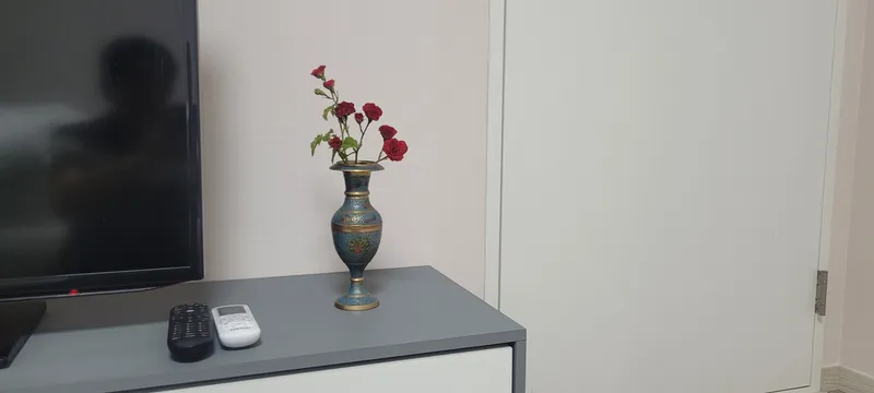 [Hadong] Private, independent house with a great view, pets (small) allowed 8