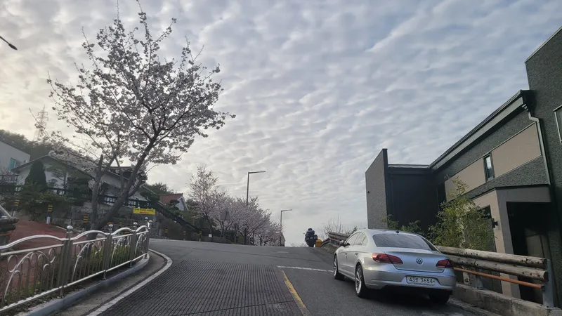 [경남 김해] 낙동강뷰 독채 넓은 자갈마당 바베큐가 가능한 텐트 27