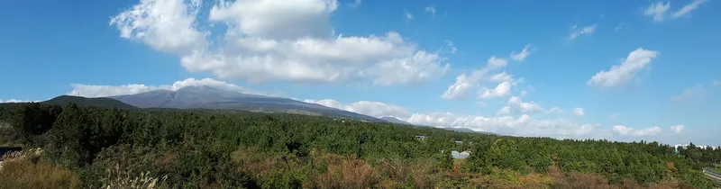 [Topyeong-dong, Seogwipo] Hallasan Mountain, Seogwipo Sea, panoramic views, comfortable relaxation (fully equipped) 17