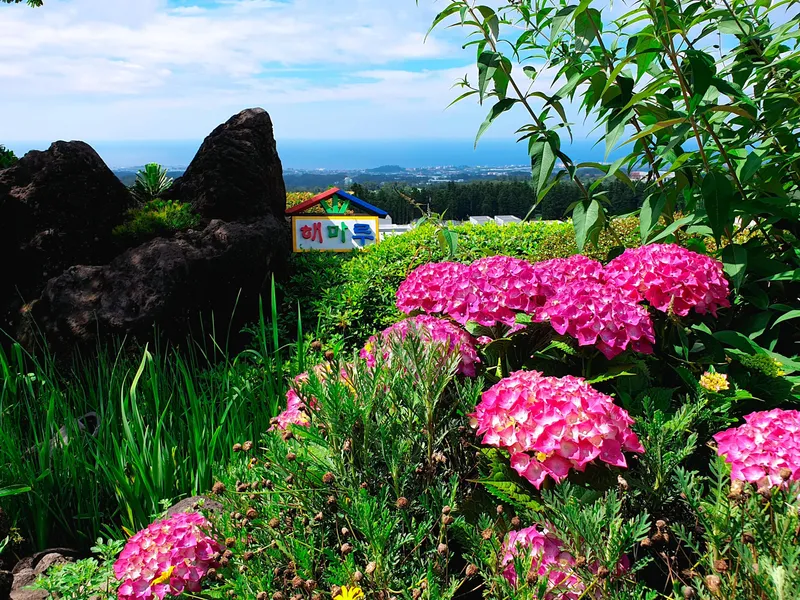 [Aewol, Jeju] Fantastic Landscape 30-Pyeong Detached House with Indoor Plant Garden and Fireplace 37
