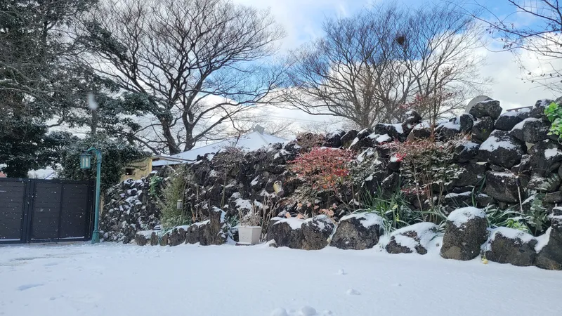 [Aewol, Jeju] Lawn yard stone wall detached house annex #Pets allowed #Early check-in 35