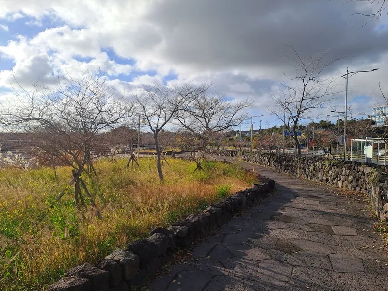 [Seoho-dong, Seogwipo] Three-Room + @ (Attic, Terrace) Ocean View Accommodation 45