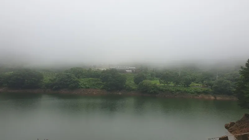 [전남 구례] 산동 수목원과 휴양림사이 숲속의 작은집 독채 마운틴 호수뷰 26
