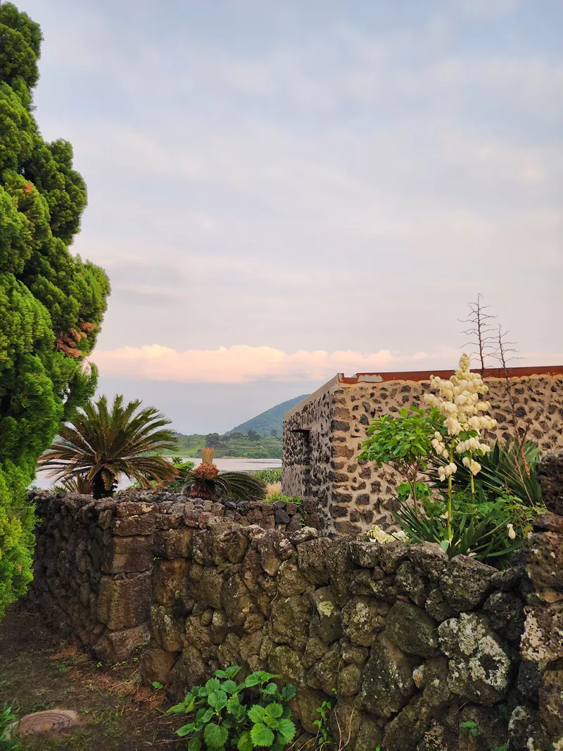 [Gujwa, Jeju] Jeju Rakhado / A House Loved by Artists 59