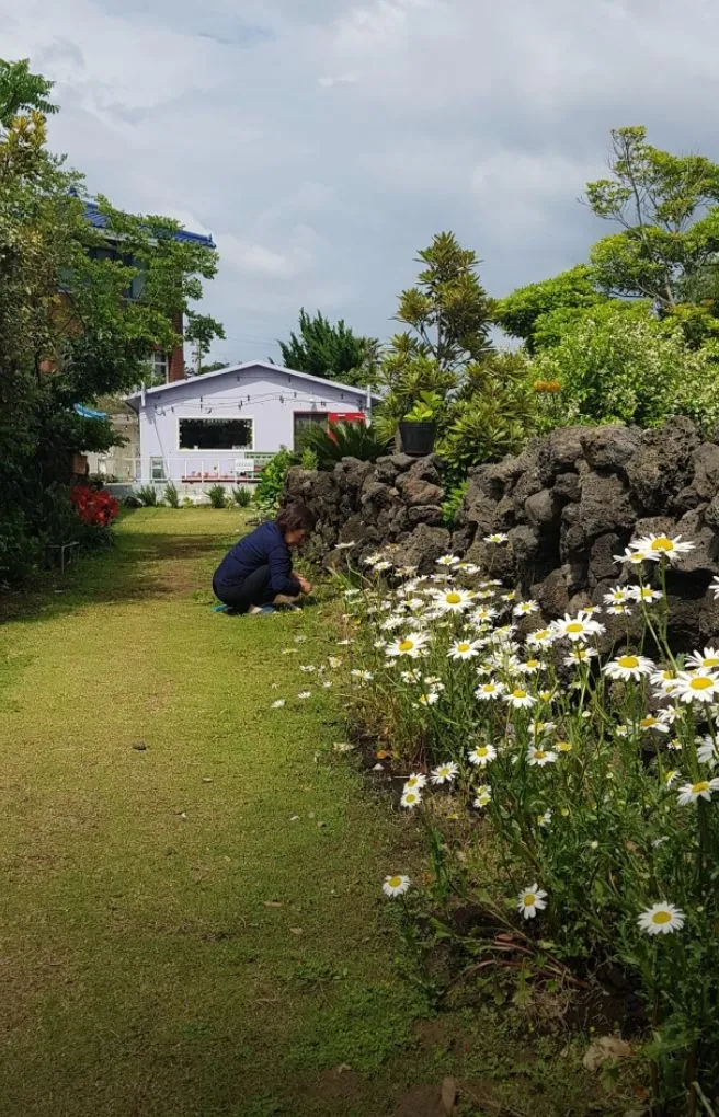 [제주 구좌] 돌담과 정원, 고양이가 있는 여성전용 개인실 13