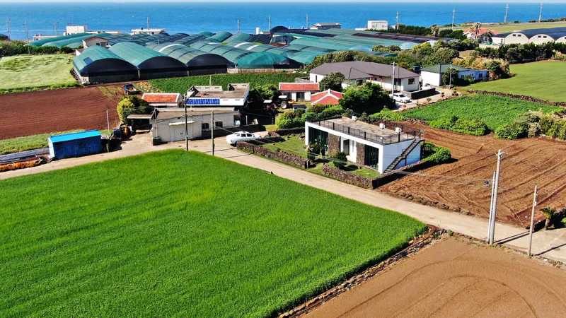 [Hangyeong, Jeju] Private guesthouse near Suwolbong Eongal Beach 19