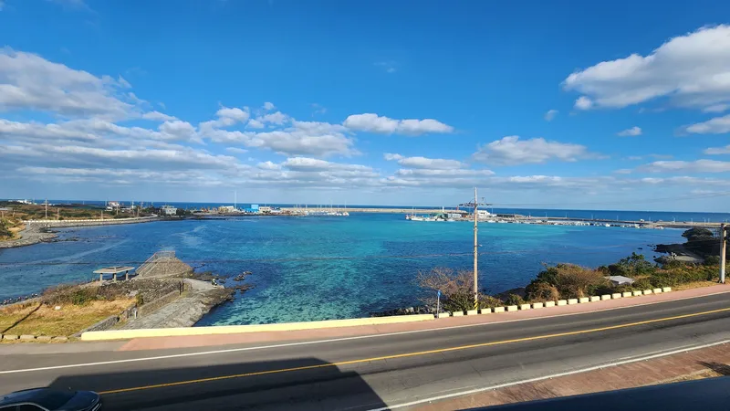 [Gujwa, Jeju] Gimnyeong Ocean View/Seafront Yard/Newly Built in 2023/24-Hour Convenience Store/Duplex Type/B302 8