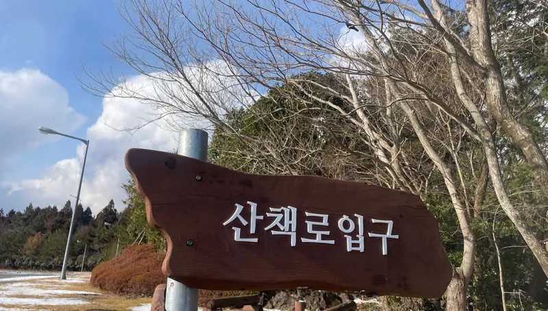 [서귀포 남원] 한라산 맑은 숲속에서의 힐링 21