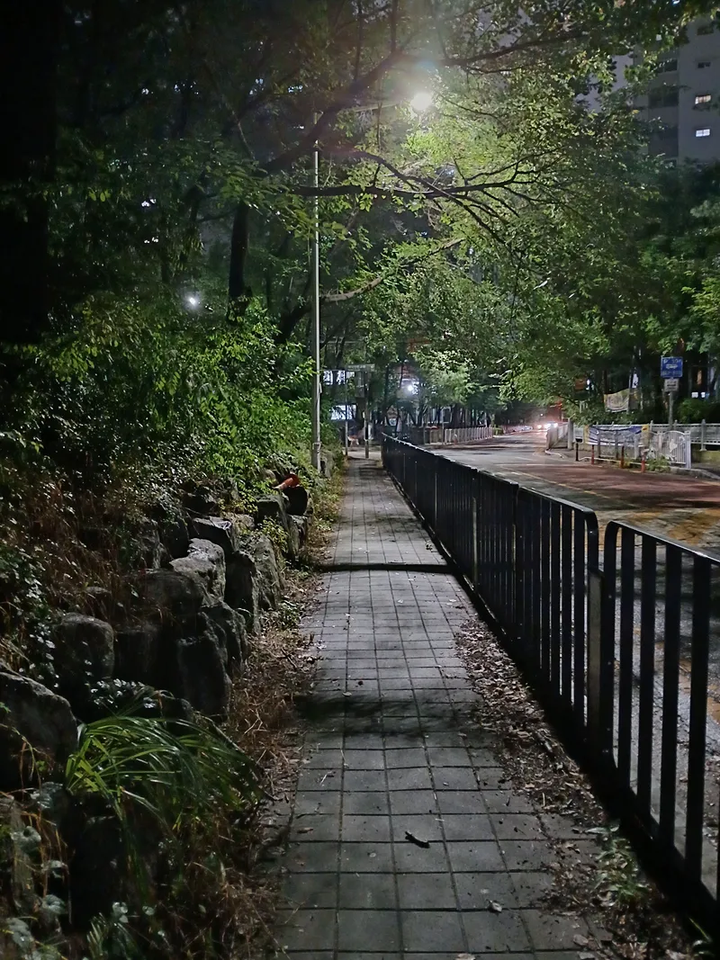 [대전 유성] 성심당 차로 10분 숲힐링 영화촬영지 35