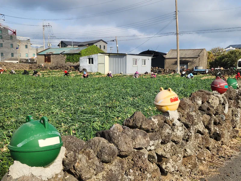 [제주 한림] 애월 협재 바다뷰 한라산뻥뷰 제주별장 7 42