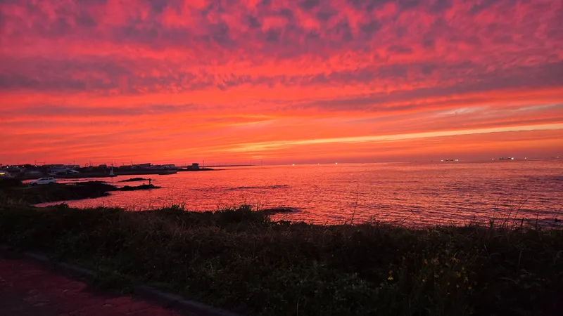 [제주 구좌] 하도 전통 제주 돌담집,별방진 성벽 바다가 아름다운 동네 39