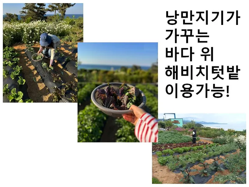 [강원 동해] 독채 오션뷰 작은마당 시내근접 무료공영주차장 감성숙소 49
