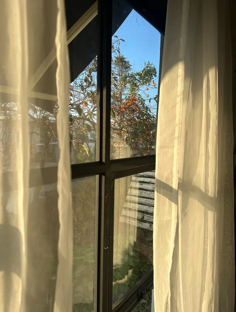 [Aewol, Jeju] Private house stay with a yard_A house where the charm of Jeju and the comfort of home coexist 33