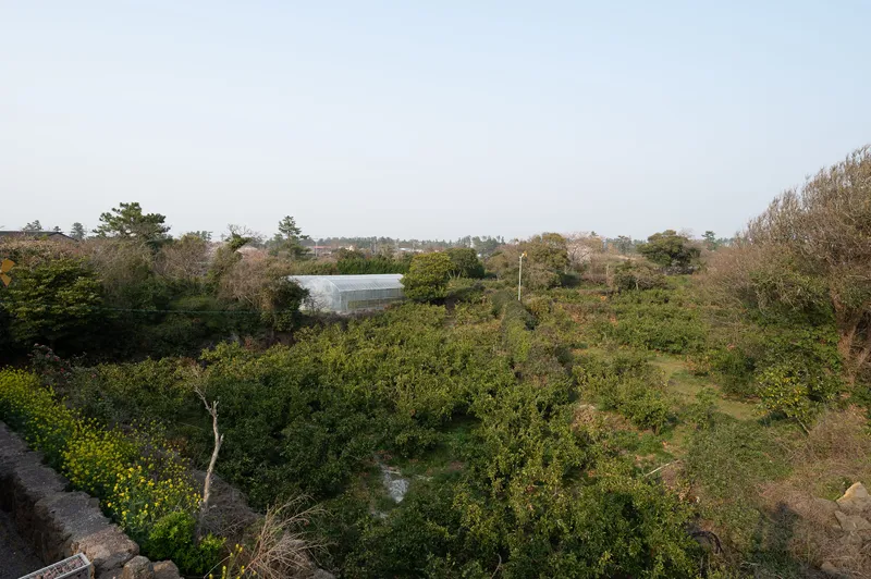 [제주 한경] 귤밭뷰 독채 13