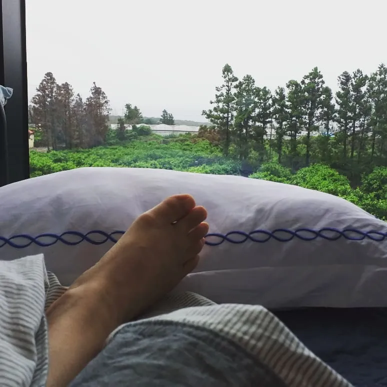 [제주 한경] 청수리 귤밭뷰 일출루프탑복층,조식빵제공,도자기체험,감귤체험 26