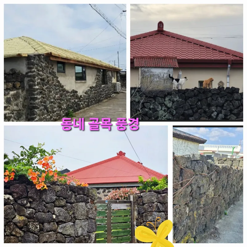 [제주 구좌] 김녕 도보1분 바닷가 독채. 김녕돌담집 한달살기 (안채) 31