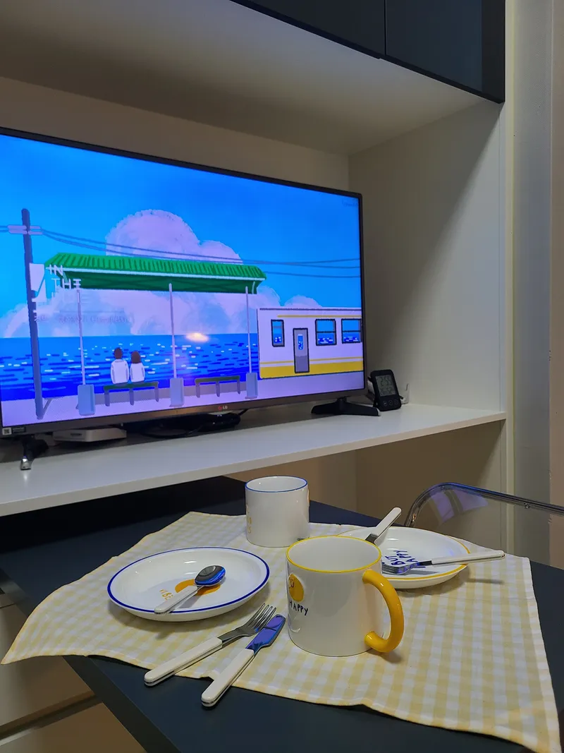 [경기 고양] 일산 백석역 풀옵션 #복층 #신축 19
