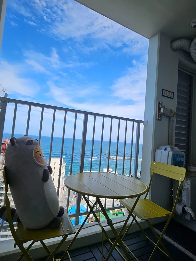 [Gangneung] <September 20% Discount Special> Yeongjin Beach View Restaurant☆High-rise Ocean View☆Open Terrace 24