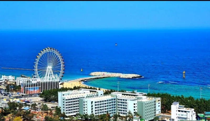 [Sokcho] A restaurant with a view within a 5-minute walk from Sokcho Beach 17