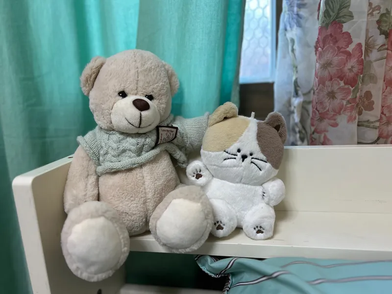 [Dangjin] Dangjin, South Chungcheong Province) Morning on the terrace/Villa in a country house/Room 5/1 hour from Seoul/12 minutes from the sea 7