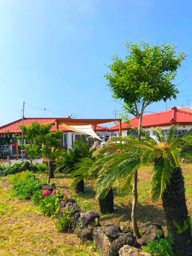 [Gujwa, Jeju] A stone house where you can feel a leisurely time in Jeju 18