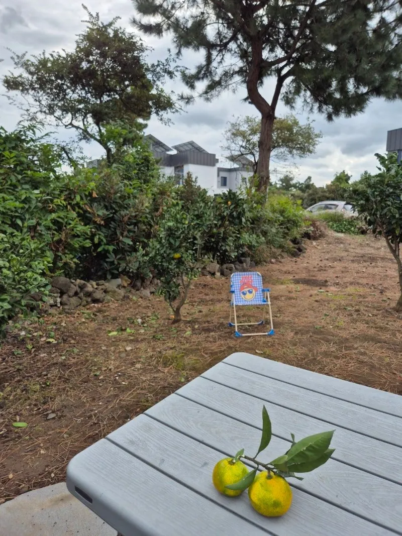 [제주 조천] 제주 함덕해수욕장5분거리 2층독채타운하우스#북촌14길에 머물 17