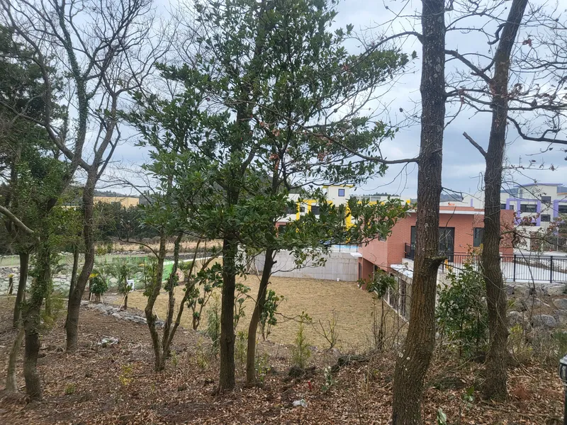 [제주 구좌] 조용한 힐링 한달살기 신축급 타운하우스 24평 텃밭 27