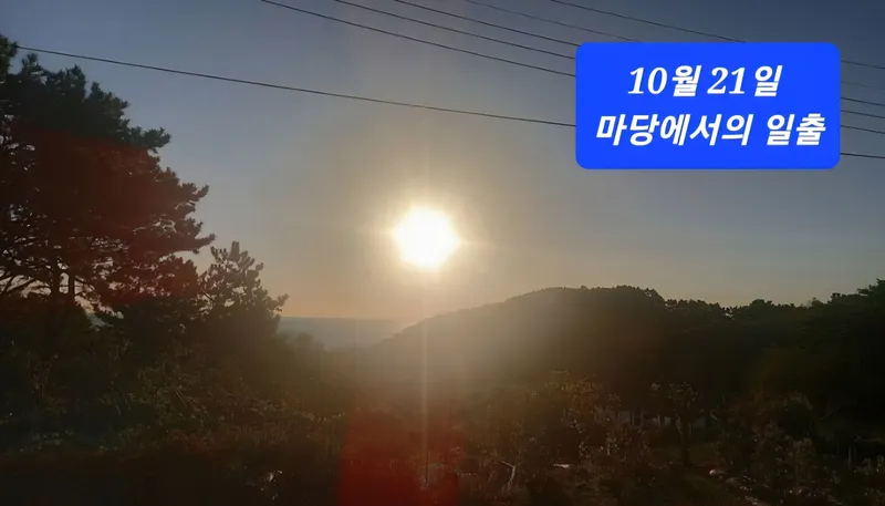 [Yeongdeok] 20-pyeong detached country house on a hill overlooking the East Sea (Building B) 8