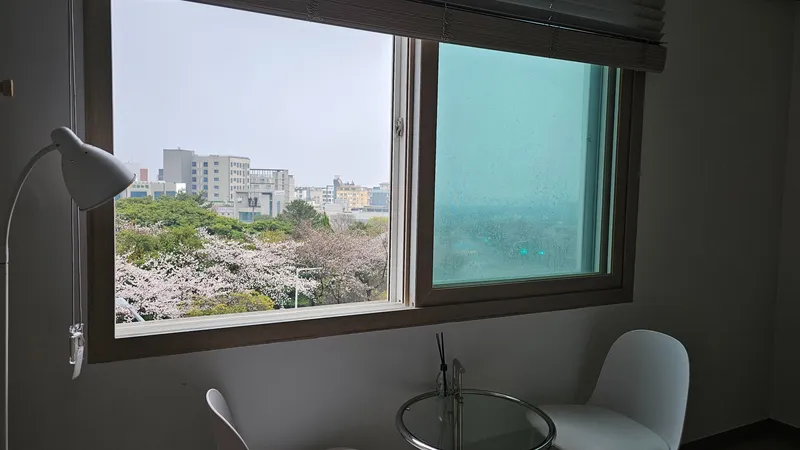 [Gangjeong-dong, Seogwipo] Ocean view, cherry blossom view, luxury twin bed 3