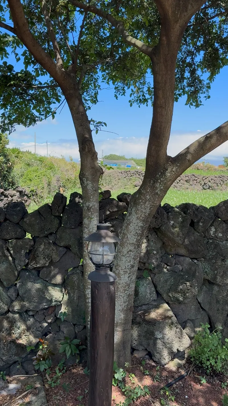 [Hangyeong, Jeju] "A Healing, Emotional Private House Where Time Stops" (Stone Wall Garden, Barbecue, Fireplace) 23