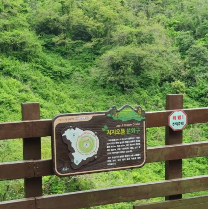 [제주 한경] 서쪽감성 최대8인 애견동반 가능 대가족 특화 힐링하우스 46