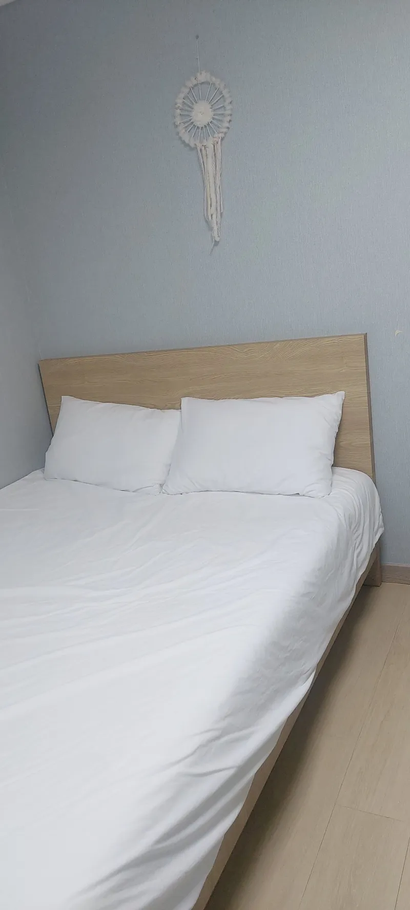 [Andeok, Seogwipo] A pension with a beautiful garden 2