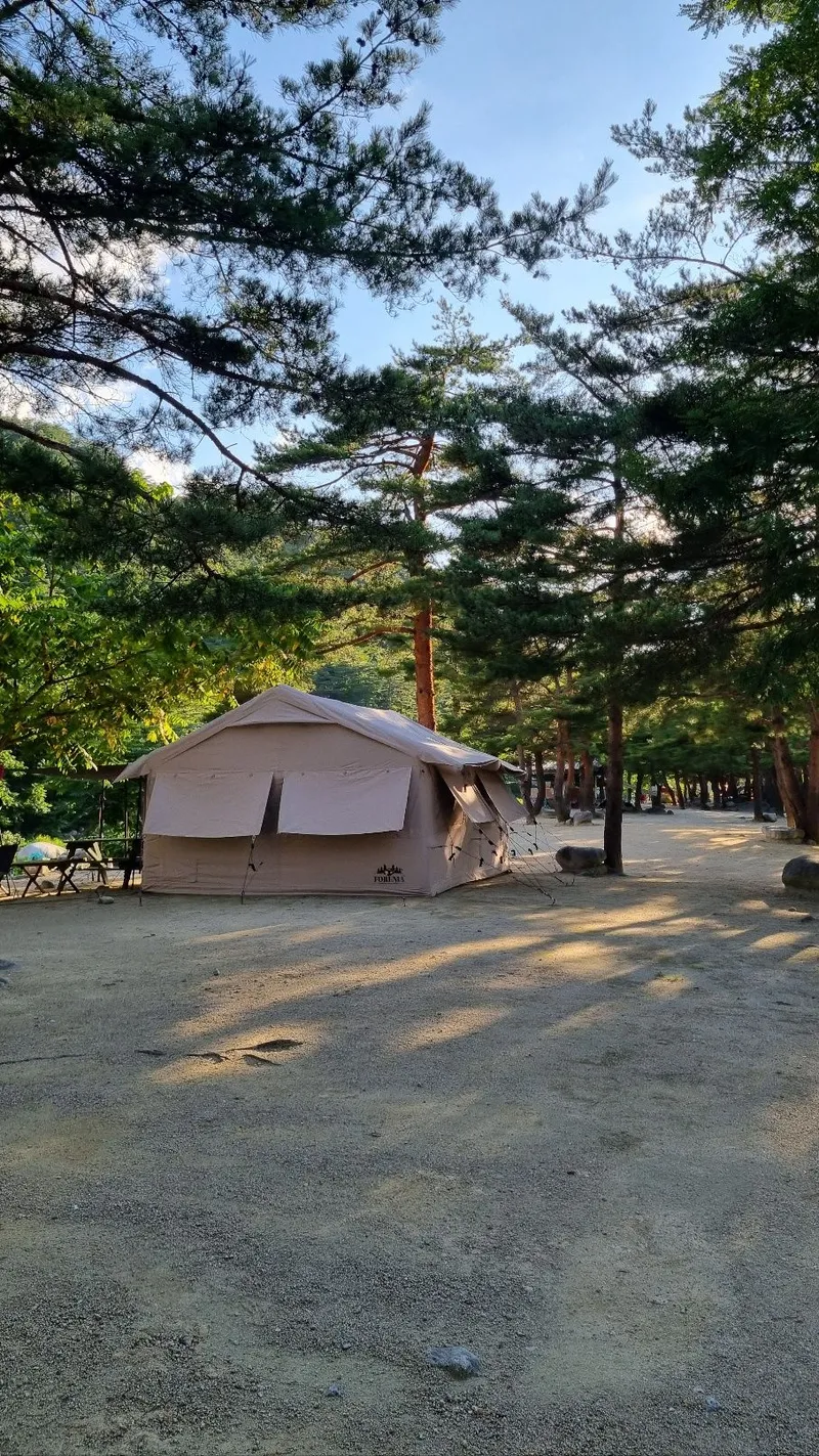 [강원 강릉] 소금강 계곡물 도보1분  물놀이 가능한1층 펜션 19