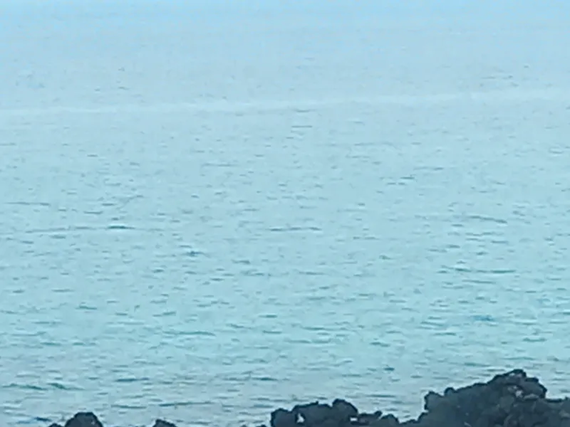 [Hallim, Jeju] Biyangdo/Ocean view Hyeopjae Beach Stay #103 #Pets allowed 15
