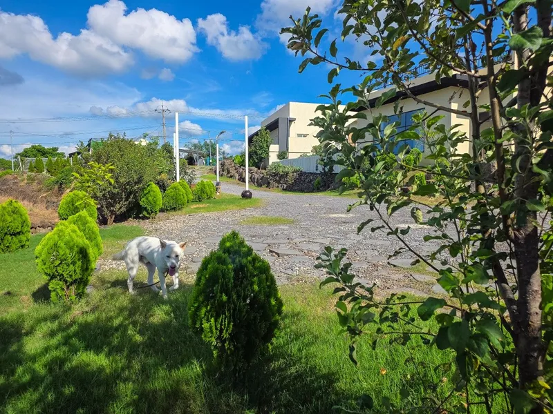 [Hallim, Jeju] Private villa with ocean view #101 54