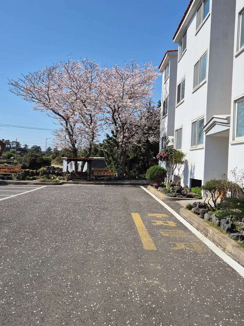 [Hallim, Jeju] (Aewol/Hanlim) The sea is a 5-minute walk away #OceanView #FieldWallView #4thFloorTwoRoomApartment #FootPedestrian~ 62