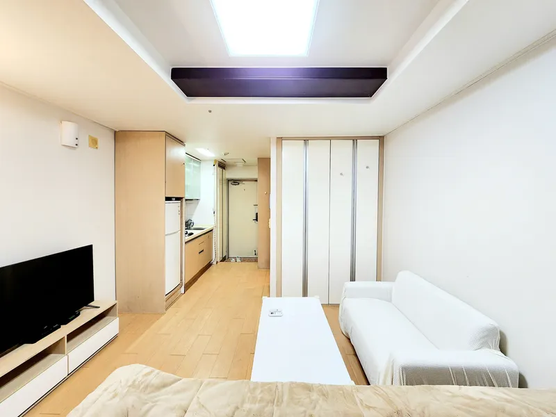 [Gangnam, Seoul] 5 minutes from Gangnam Station City View Pool Option 2